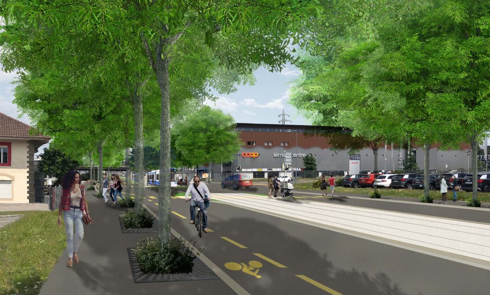 Perspective Crissier – Arbres trottoirs